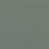 Spanish Moss