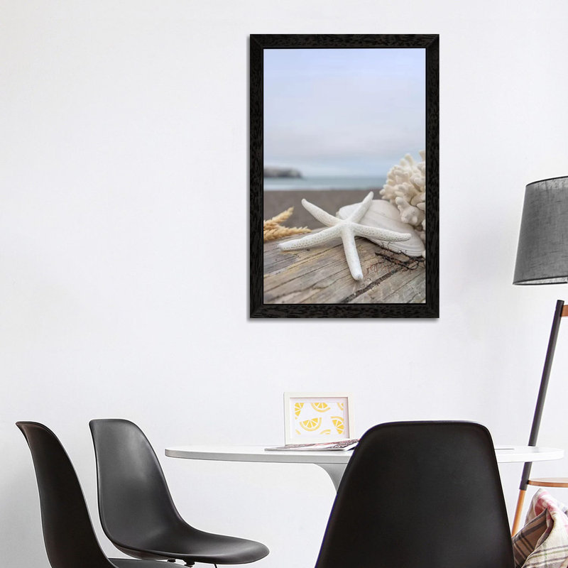 Crescent Beach Shells XIV by Alan Blaustein - Floater Frame Print on Canvas, 66.04 cm H x 45.72 cm W, Black Framed