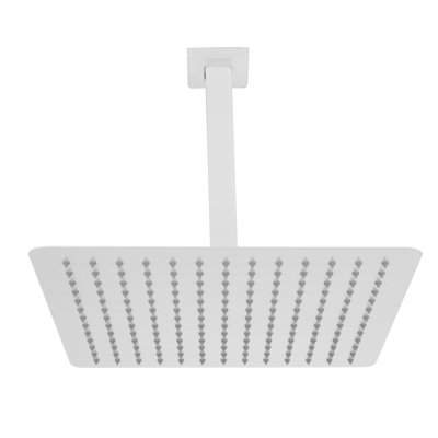 Motif à 1 jet de 2,5 GPM et 9,84 po Pomme de douche fixe au plafond avec bras de douche 