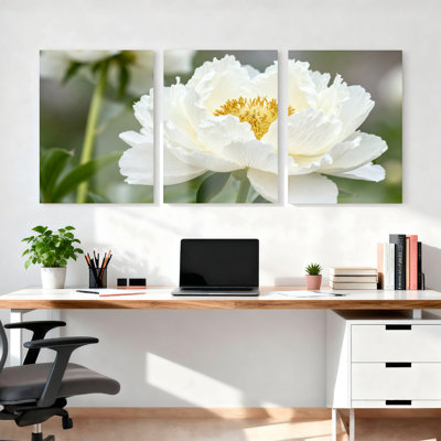 Pivoine blanche sur toile tendue sur toile, ensemble de 3 reproductions de peinture à l'huile pour salon