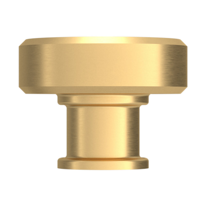 Round Brushed Brass Traditional Cabinet Knob with Mounting Hardware