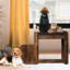 Lit superposé à plusieurs niveaux pour animaux de compagnie avec marche amovible, coussin et bloc-notes pour chiens et chats, intérieur, lit de marche, coussin, robuste
