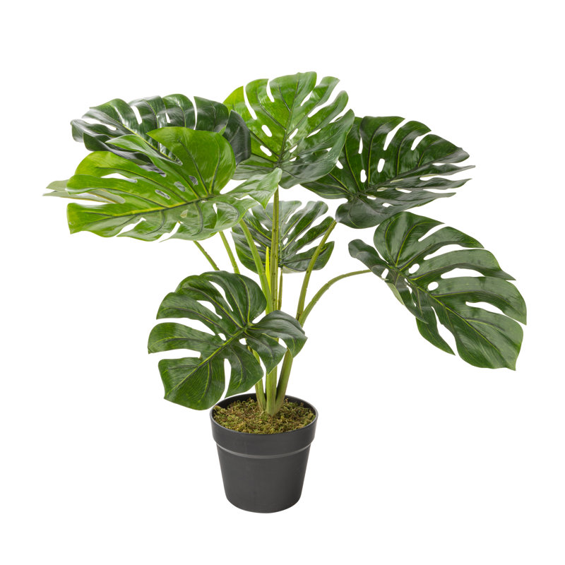 Faux Philodendron Plant in Pot, 23.62" H x 28" W x 28" D