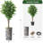75 " H Faux Ficus Tree in Plastic Planter-97992056