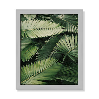 «Island Ferns» par Vickholius Nugroho - reproduction d'un seul cadre