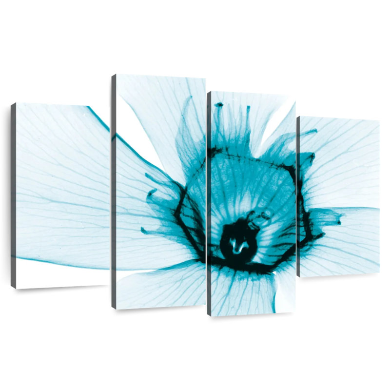 Oleander Harnek Aqua, H 14 po x l 24 po