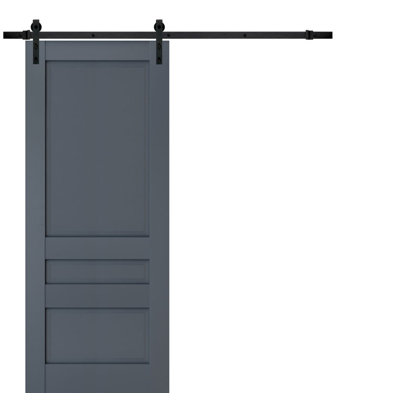 Veregio Panelled Wood Barn Door, 79.5" x 17", Antracite