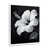 Cadre photo blanc