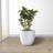 Karola Pot Planter-1267224134-1267224138
