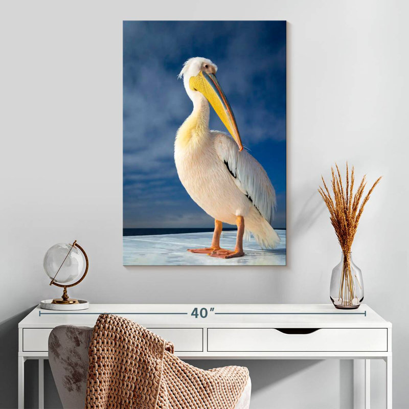 Brampt Shy Pelican, 30" H x 20" W