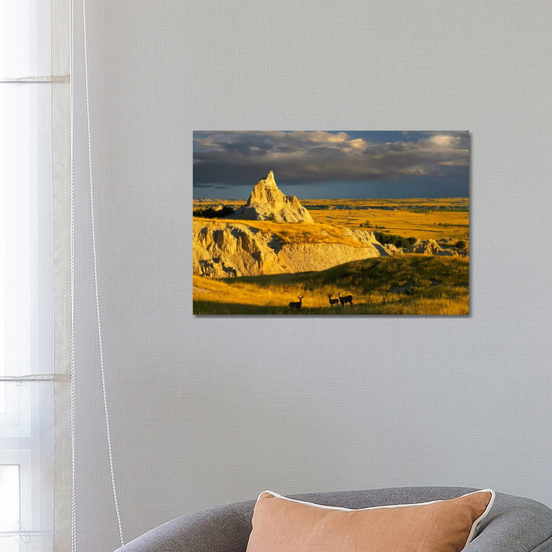 Mule Deer Trio In The Grasslands Of Badlands National Park, South Dakota von Tim Fitzharris - Gallery-Wrapped Canvas Gic...