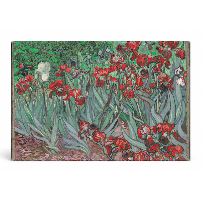 Iris (1889) - Paysage, art mural sur toile, 14" W x 11" H