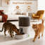 Automatic Feeder