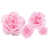 Rose n'est pas disponible