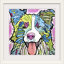« collie », impression-1006855113-1006855111