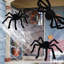 Halloween Spider Decorative Accent-1184518227