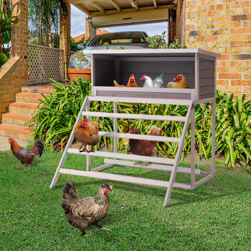 Boîte de nidification pour poulet