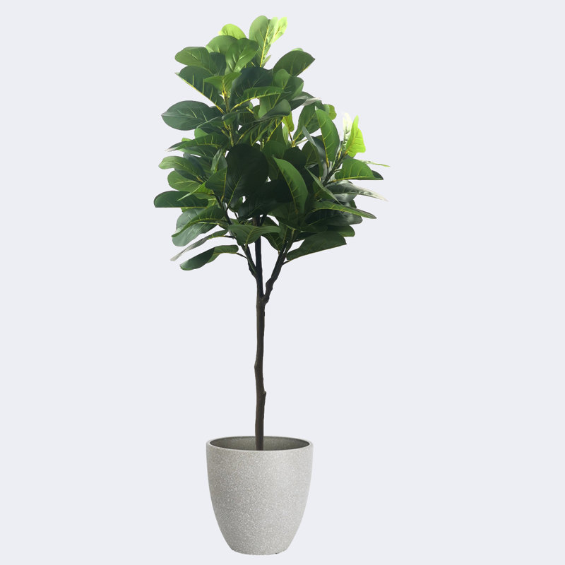Pots à fleurs artificiels en figuier et résine, Gris, H 19,69 po x l 62,99 po x P 19,69 po