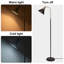 Lampe sur pied noire 58 po HonoDing, sans ampoule