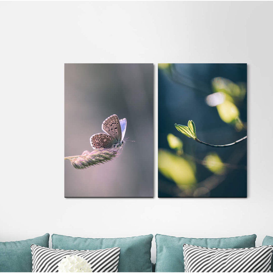 2-tlg. Leinwandbilder-Set - Fotografie „Spring Butterfly Second Soft Silence Relaxing Calming”