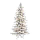 Vickerman 9' x 61" Flocked Winter Fir Artificial Pre-Lit Christmas Tree with 63 LED C7 and 1100 Warm White LED Italian Lights, Power Pole, 1818 Realistic Flocked PVC Tips, Power Pole and 6' Step On/Off Foot Switch Power Cord.