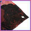 Tapisserie murale à profil africain complexe - Décoration murale portrait-459418174
