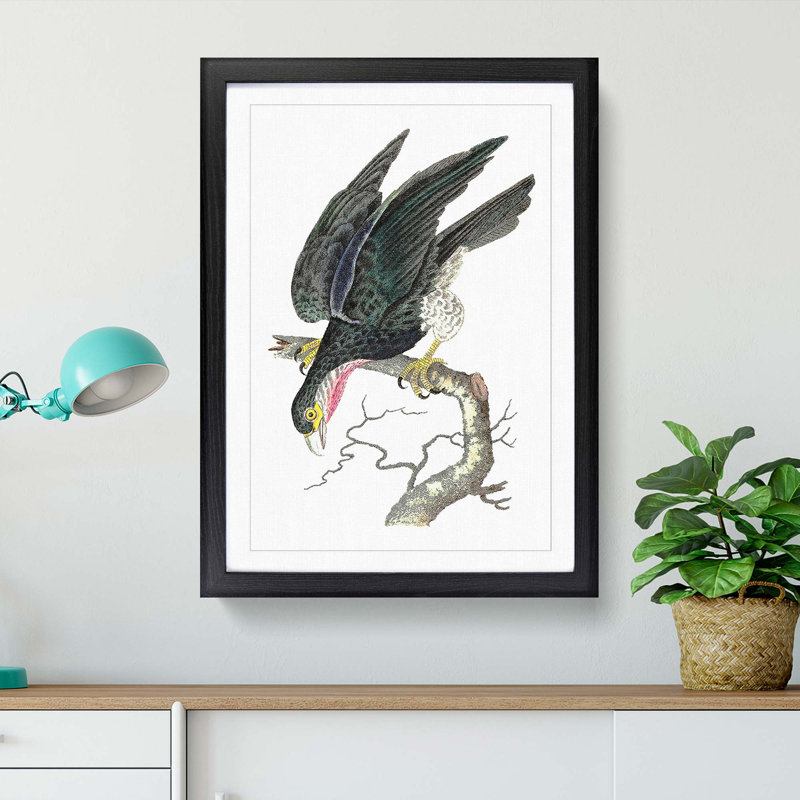 Blue Falcon by George Shaw - Picture Frame Painting, 60cm H x 40cm W x 2cm D, Black