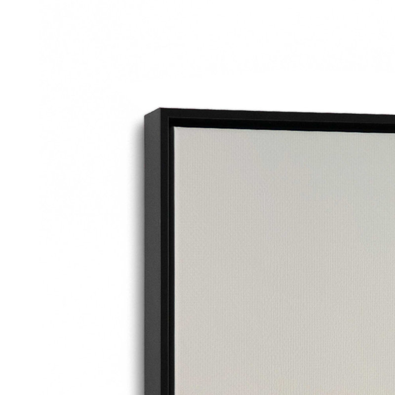Impression sur toile tendue Sunlit Palm Sky, Cadre flottant noir satiné, H 18,75 po x l 12,75 po x P 1,75 po