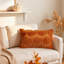 Soft Plush Pumpkin Pattern Throw Pillow