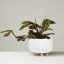 Round Ceramic Planter with Wood Feet-27131845