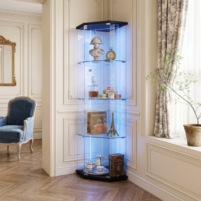 Glass 60 cm W Display Cabinet with Lighting