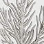 « corail sketch gris ii », reproduction d’impression sur toile tendue-22188510