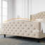 Structure de lit plateforme en velours avec base de lit et tête de lit tapissier-107650432-107650430