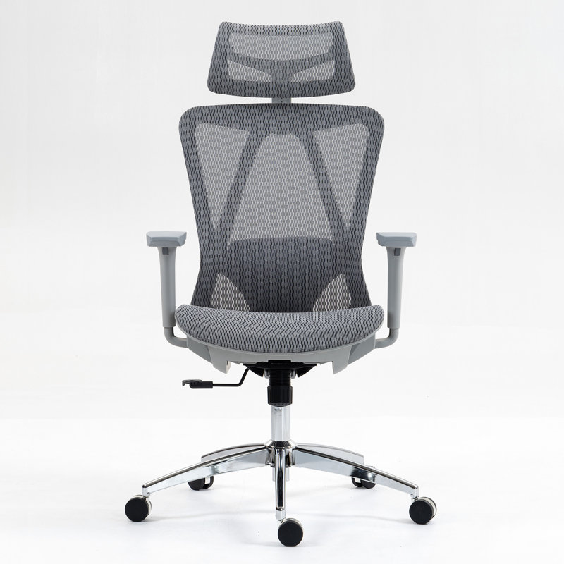 High Back Mesh Office Chair, Gray, Silver
