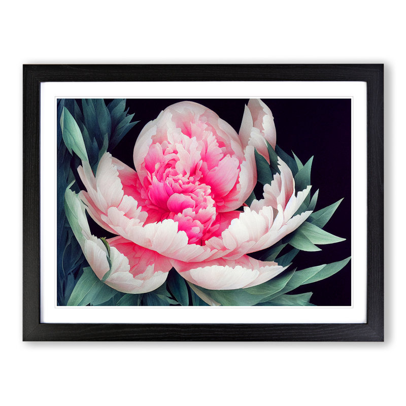 Enlightened Peony Flower - Single Picture Frame Print, 34cm H x 46cm W x 2cm D, Black Framed