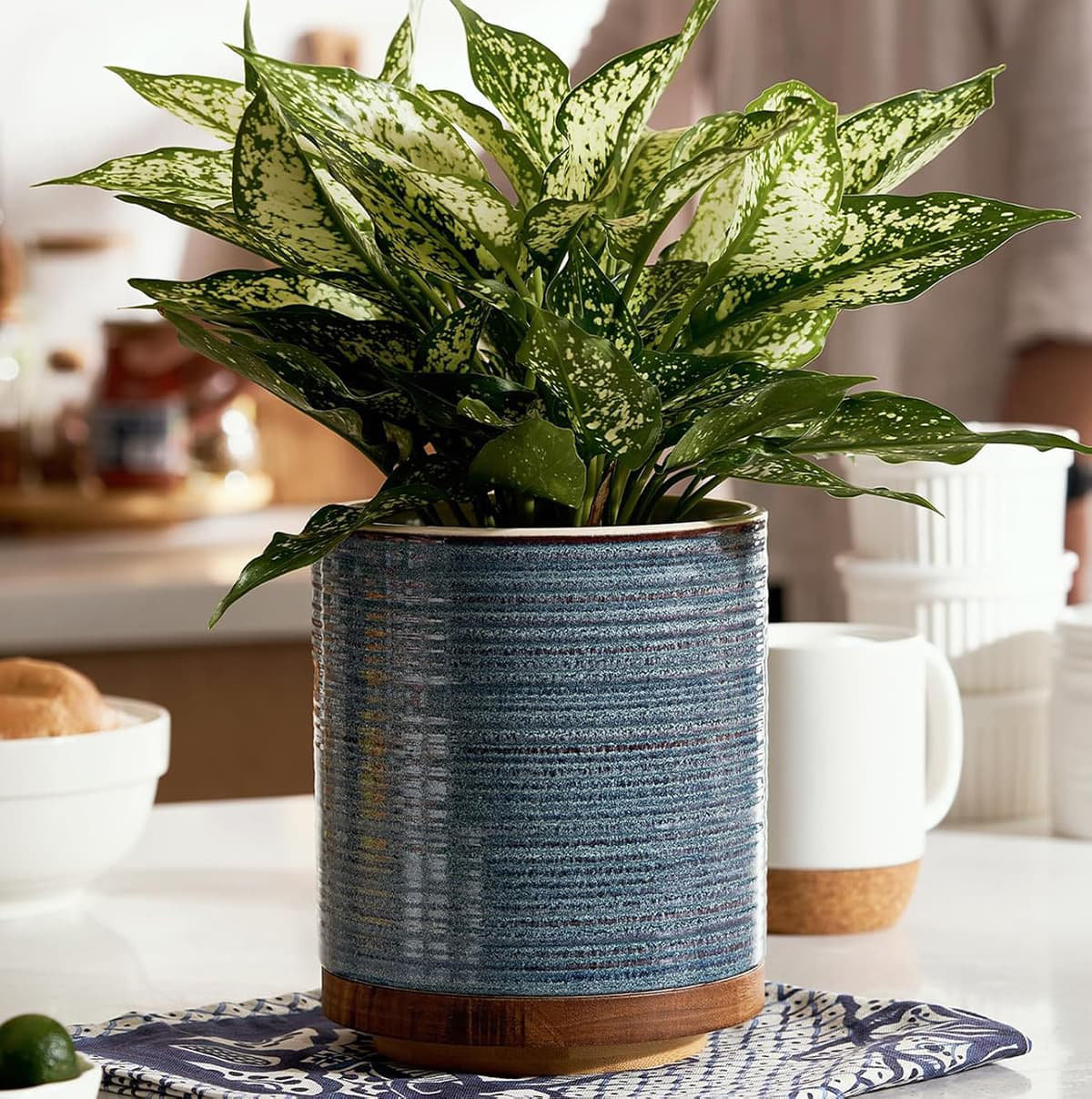 Latitude Run® 360° Rotating Extra Large Ceramic Utensil Holder (7.6") | Wayfair