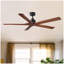 Ventilateur de plafond 60 po Black Lowe