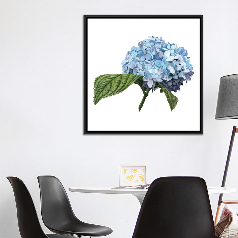«Brighton Blooms I», impression sur toile, H 18 po x l 18 po x P 1,5 po, Toile avec cadre noir, Pas de tapis