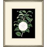 White Floral On Black 4 Painting