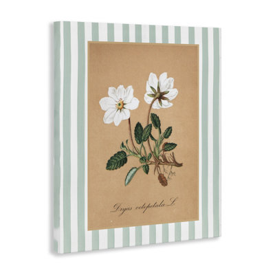 Toile blanche à rayures blanches et vertes, design avec lettres et doublure