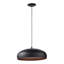 Raina 1 - Light Dome Pendant