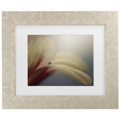 Bolog Edy Pamungkas The Journey Matted Framed Art