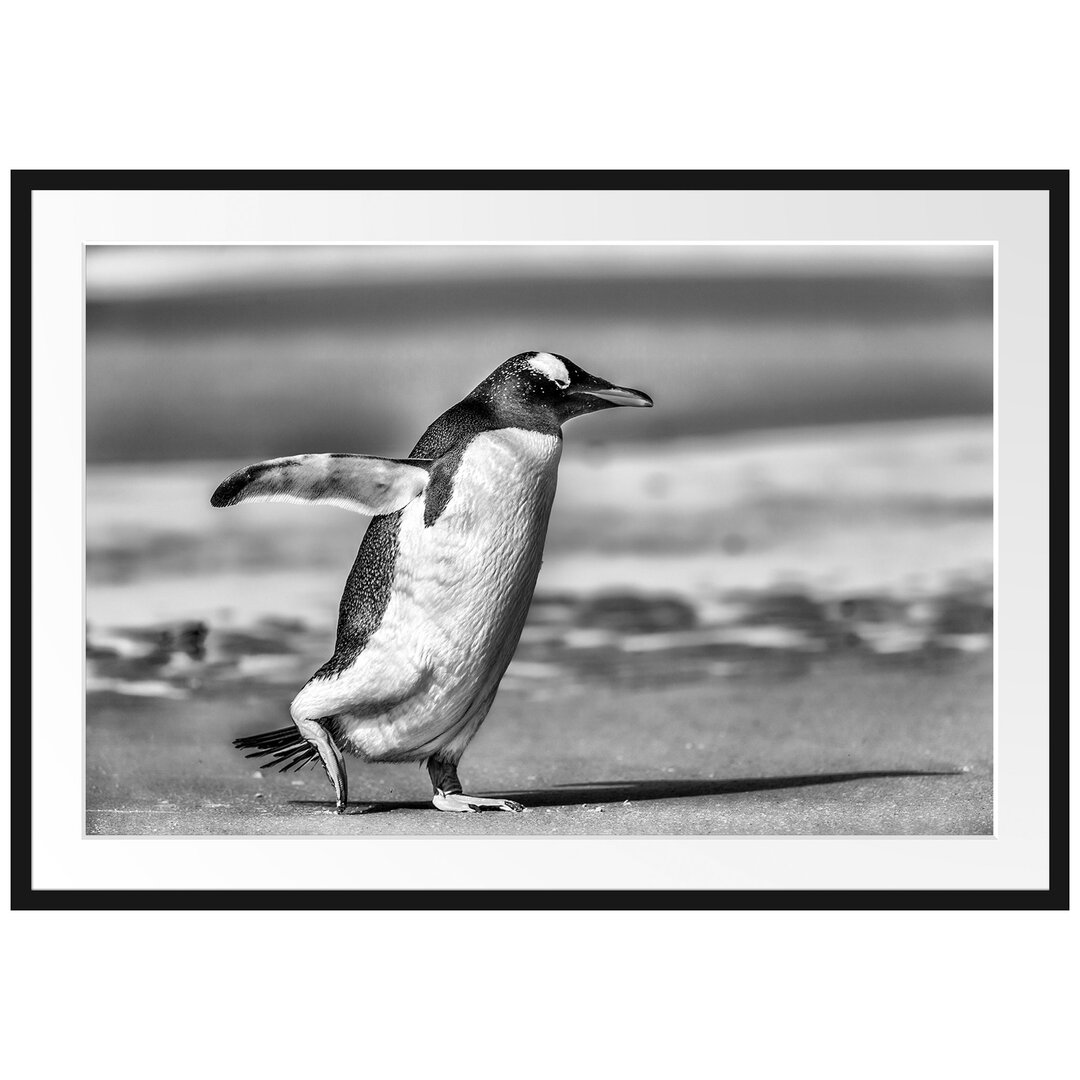 Gerahmtes Poster Pinguin am Strand