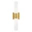 Cailum 2 Light Frosted Dimmable Vanity Light-2124124861