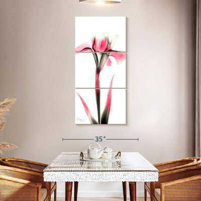 Pink Infused Iris I