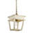 Keynsham 1 - Light Burnished Chestnut Lantern Pendant