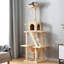 Gaffey 155cm H Cat Tree-57652512