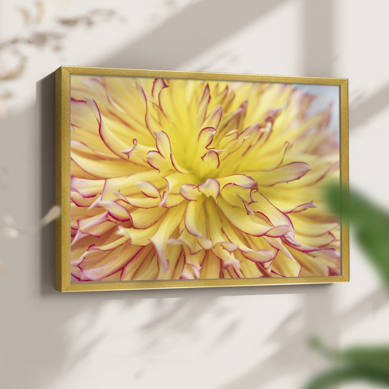 Blooms III -Framed Print - Restickable, 8" H x 10" W