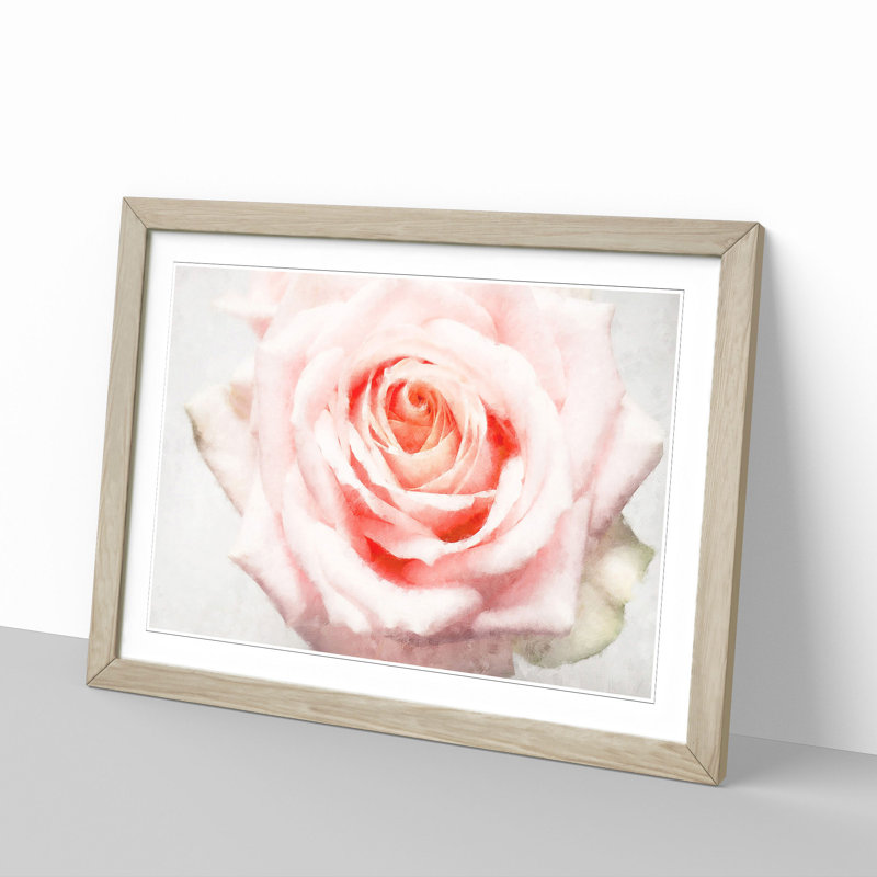 Pale Pink Rose - Picture Frame Graphic Art Print, Oak, 33cm H x 45cm W x 2cm D