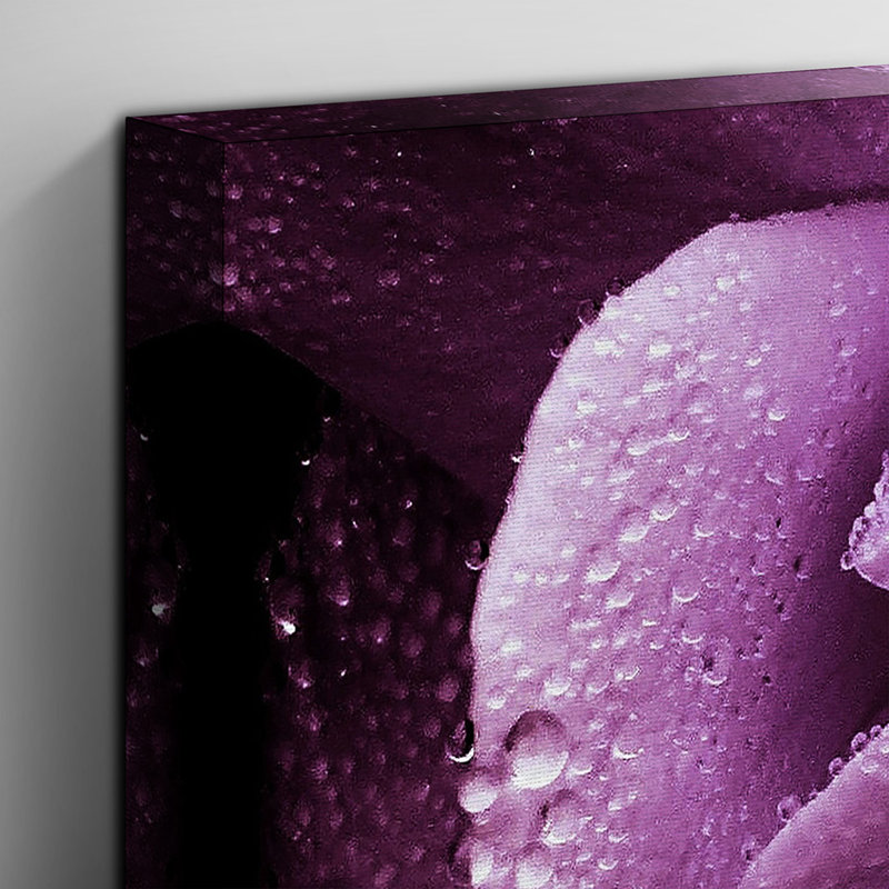 Flower Purple Rose Photographic - Wrapped Canvas, 70cm H x 100cm W